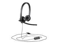 Logitech USB Headset H570e - Auricular - en oreja - cableado 981-000575