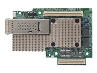 Broadcom BCM957504-M1100G16 - adaptador de red - OCP - 100 Gigabit Ethernet x 1 BCM957504-M1100G16