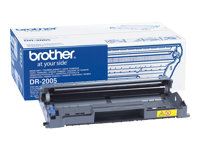 Brother DR2005 - Original - kit de tambor - para Brother HL-2035, HL-2037 DR2005