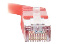 C2G Cat5e Booted Shielded (STP) Network Patch Cable - Cable de interconexión - RJ-45 (M) a RJ-45 (M) - 10 m - STP - CAT 5e - moldeado - rojo 83800