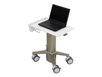 Ergotron CareFit - Carrito - delgado - para ordenador portátil - aluminio, acero plateado de zinc, plástico de alta calidad - blanco, gris cálido - tamaño de pantalla: hasta 17,3" C50-1100-0