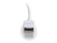 C2G - Cable alargador USB - USB (M) a USB (H) - 3 m 81572