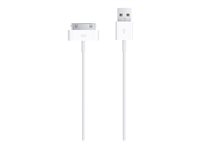 Apple Cable de conector a USB - Cable de carga / datos - Apple Dock macho a USB macho - para Apple iPad/iPhone/iPod (Apple Dock) MA591ZM/C?ES