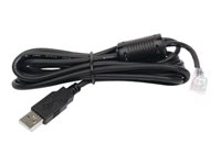 APC - Cable USB - USB (M) a RJ-45 (10 patillas) (M) - 1.8 m - negro - para Back-UPS LS 500 AP9827