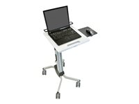 Ergotron Neo-Flex - Carrito - para cuaderno / ratón / escáner de códigos de barras - aluminio, acero, plástico de alta calidad - dos tonos de gris - tamaño de pantalla: 12"-17.3" 24-205-214