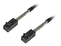 Intel - Cable interno SAS - SAS 12Gbit/s - straight thru - 4 pistas - 4 x Mini SAS HD (SFF-8643) (M) a 4 x Mini SAS HD (SFF-8643) (M) - 80 cm (paquete de 2) AXXCBL800HDHD