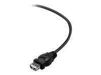 Belkin - Cable alargador USB - USB (M) a USB (H) - USB 2.0 - 1.8 m F3U153BT1.8M