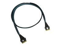 Intel MB to HSBP Kit - Kit de cable de almacenaje - Slim SAS x4 a Slim SAS x4 - para Server System M20NTP1UR304 NTPCBLSL104K