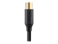 Belkin Essential Series Digital Aerial Cable - Cable para antena - conector F a conector F - 2 m F3Y057BT2M