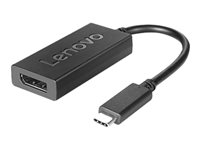 Lenovo USB-C to DisplayPort Adapter - Adaptador de vídeo externo - USB-C - DisplayPort - para IdeaPad S940-14IIL 81R1; ThinkPad P53s; Yoga S940-14IIL 81Q8 4X90Q93303