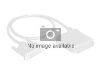 Intel - Kit de cable de almacenaje - Mini SAS HD (SFF-8644) a Mini SAS HD (SFF-8644) - para Server Board M50CYP2SB1U, M50CYP2SBSTD CYPCBLMEZKIT